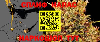 крисы Гусев
