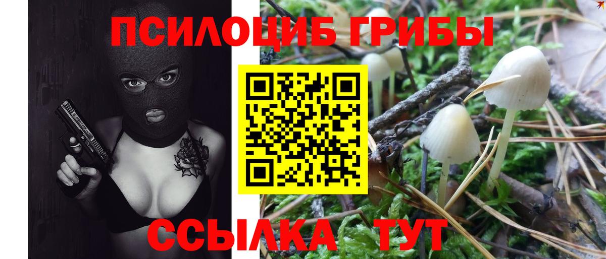 Мичуринск  Галлюциногенные грибы GOLDEN TEACHER  Псилоцибиновые грибы GOLDEN TEACHER  Вход с VPN 