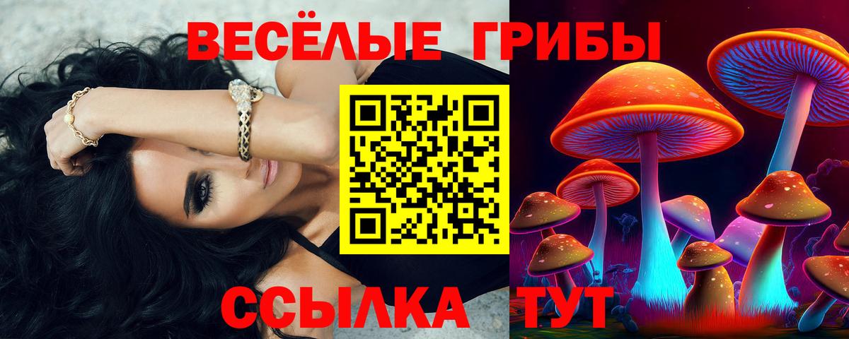 Псилоцибиновые грибы Psilocybine cubensis Мичуринск